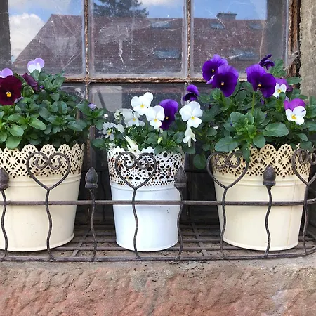 בית חווה Hanst